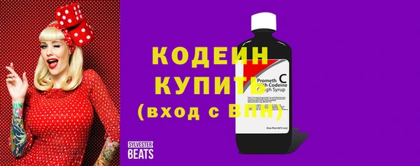 молекула духа Новодвинск