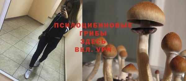 хмурый Нязепетровск