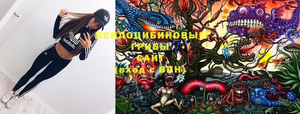 хмурый Нязепетровск