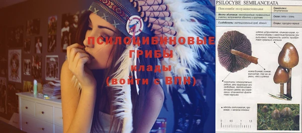 хмурый Нязепетровск
