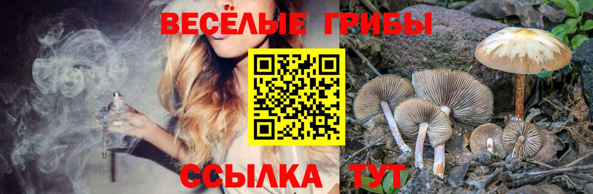 Галлюциногенные грибы Cubensis  Вход с VPN  Галлюциногенные грибы GOLDEN TEACHER  закладка  Фрязино 
